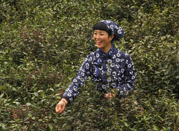 新更2
